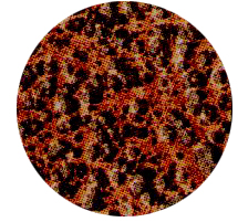 komax bronz
